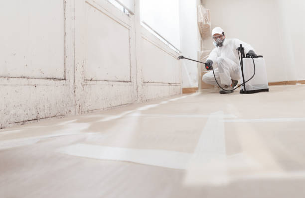 24/7 Emergency Attic Mold Removal experts in Sequim, WA