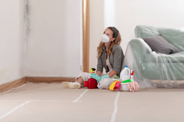 Reliable Attic Mold Removal contractor in Sequim, WA by WQB Mold Removal